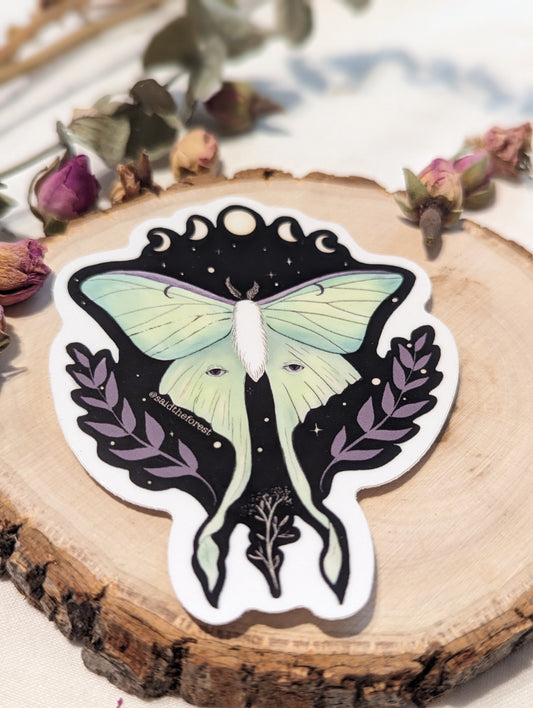 Luna Moth